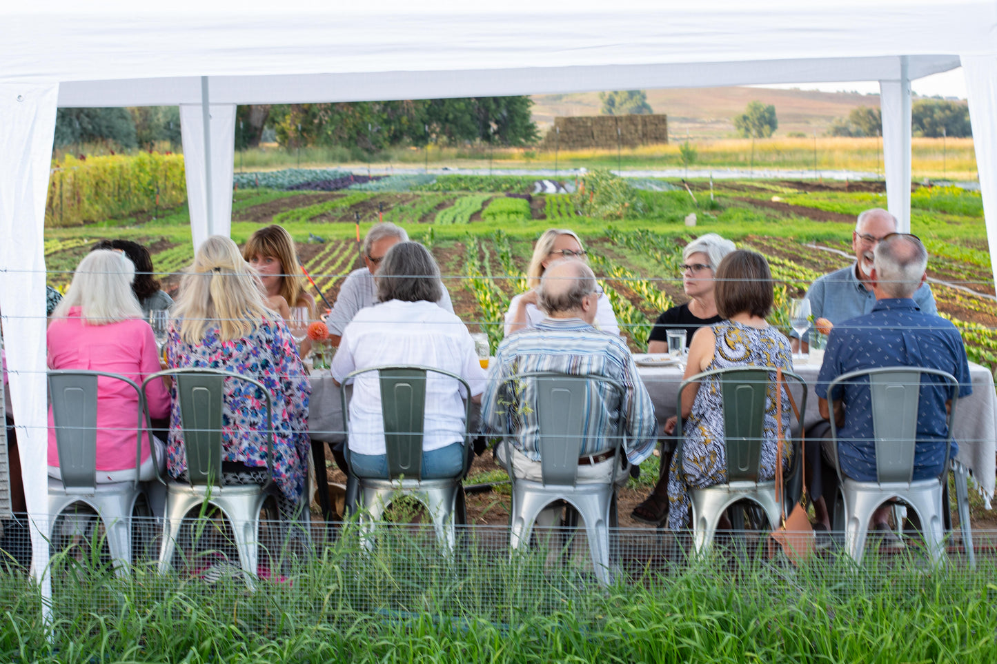 A Midsummer’s Supper on the Farm